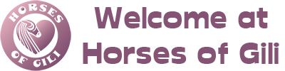 Horses of Gili